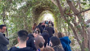 campamento real navidad Torrent