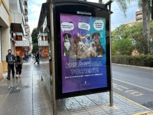 campaña canina Torrent