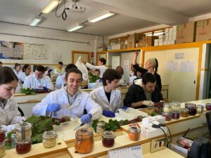 Justicia Alimentaria ha realizado un taller de arte ecológico en el IES Enrique Tierno Galván de Moncada