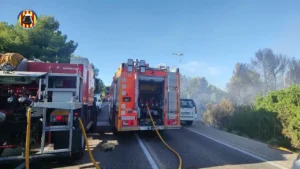 Incendio en El Saler
