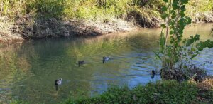 parque natural Quart de Poblet