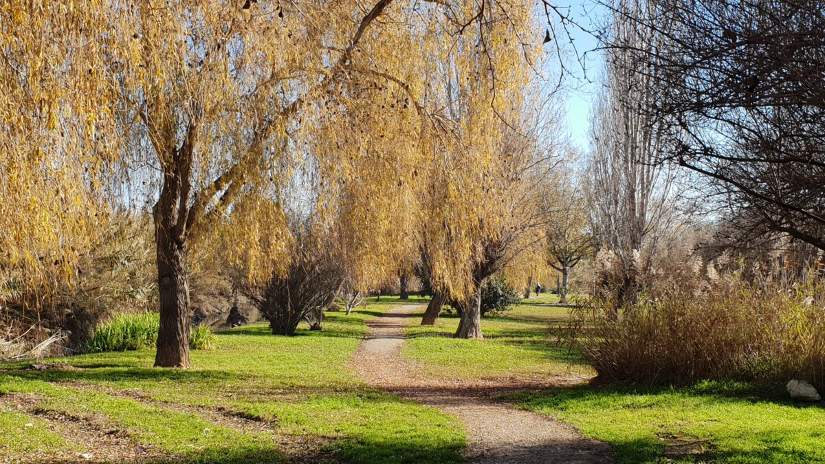 parque natural Quart de Poblet II