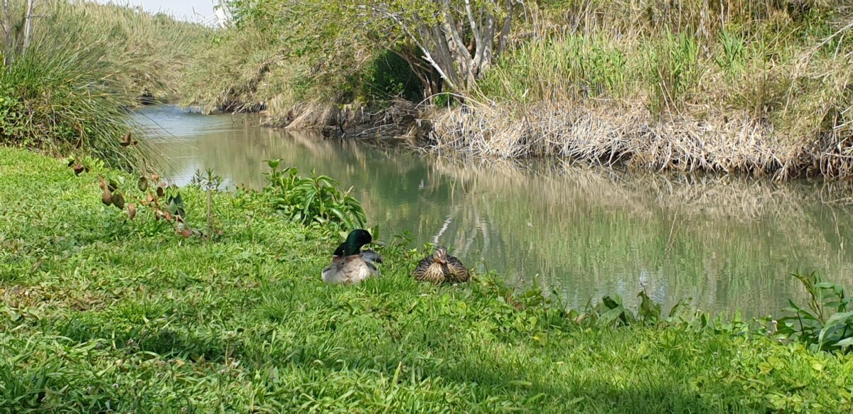 parque natural Quart de Poblet III