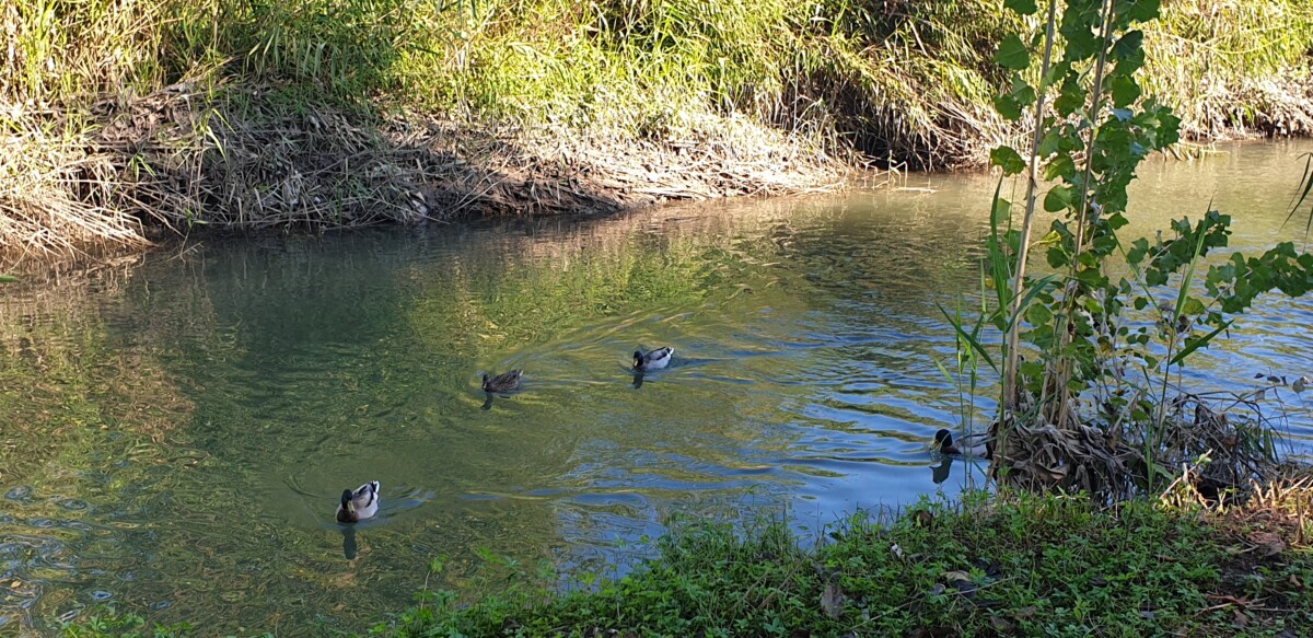 parque natural Quart de Poblet