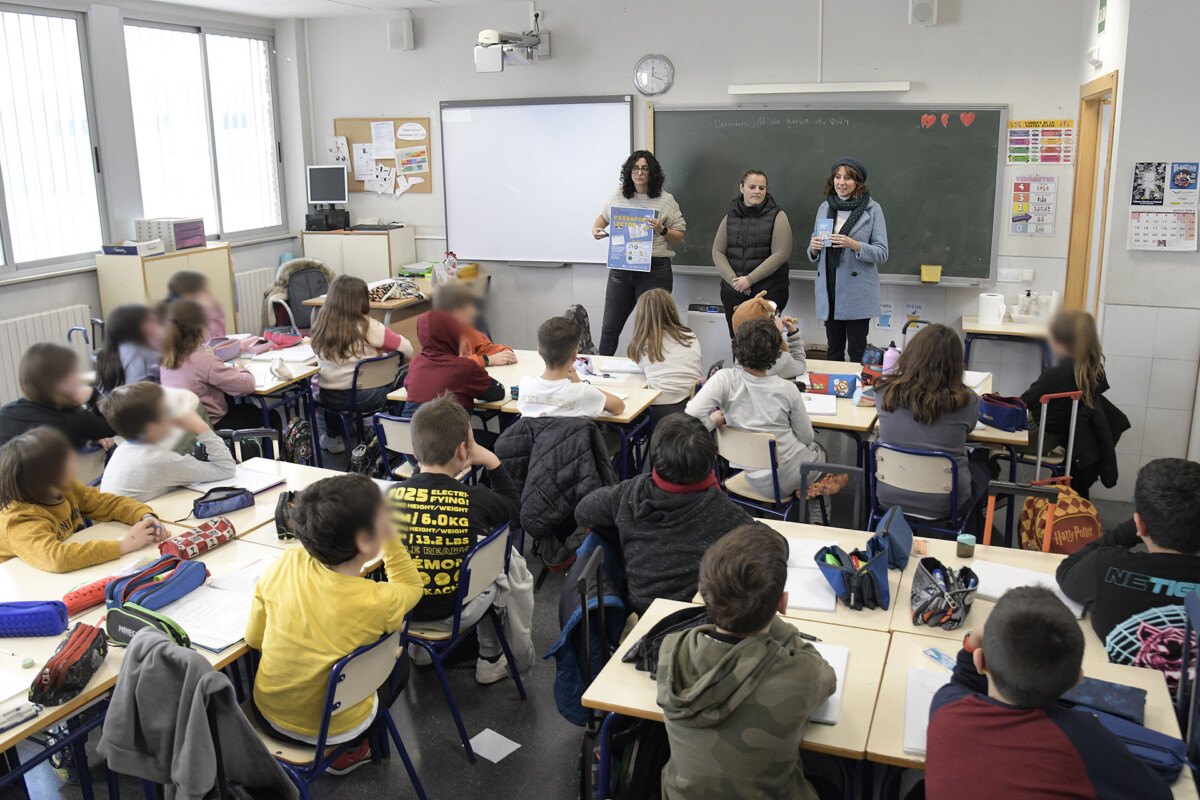 Pasaporte Lector en Paiporta