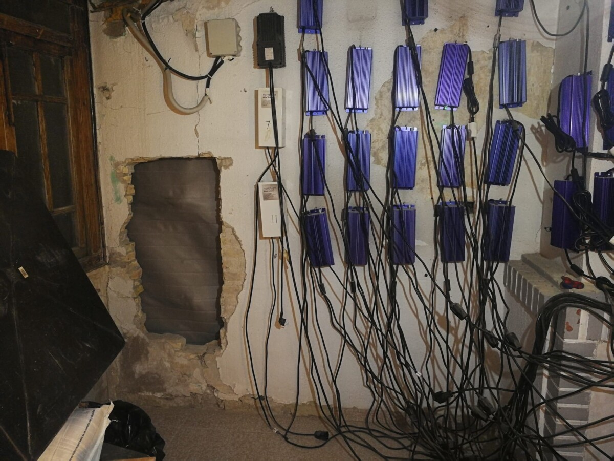 Enganches a la luz en la plantación de marihuana encontrada en el Cabanyal