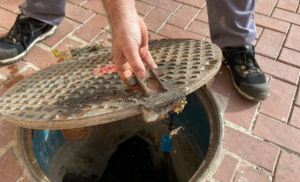 prevención cucharachas ratas alcantarillas Alfara del Patriarca