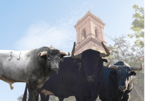toros Sant Antoni Almàssera