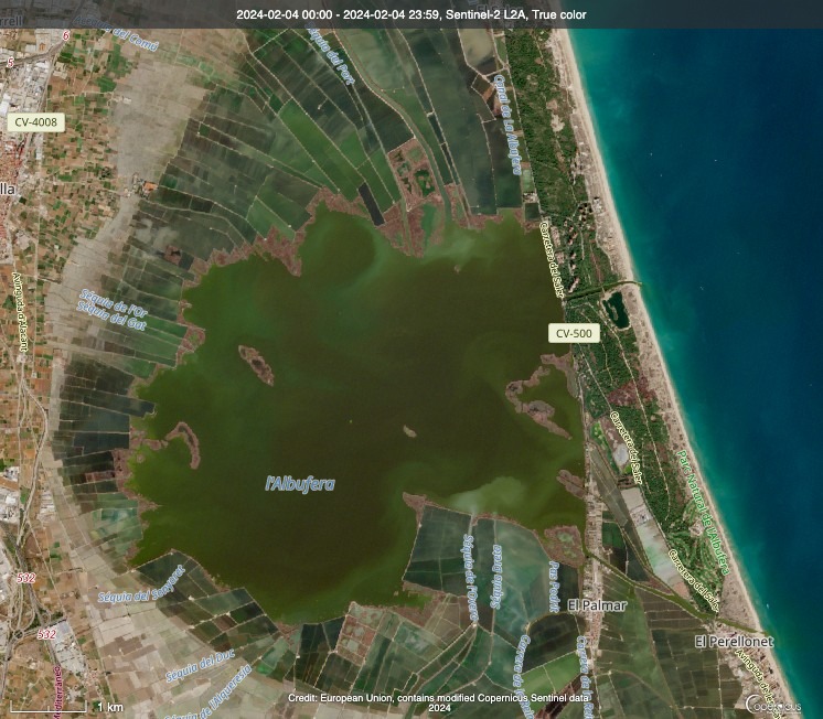 L'Albufera, al 4 de febrer