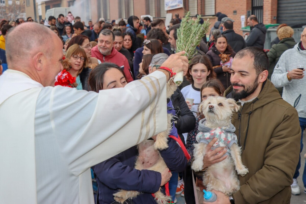 bendición de animales Sant Antoni Torrent