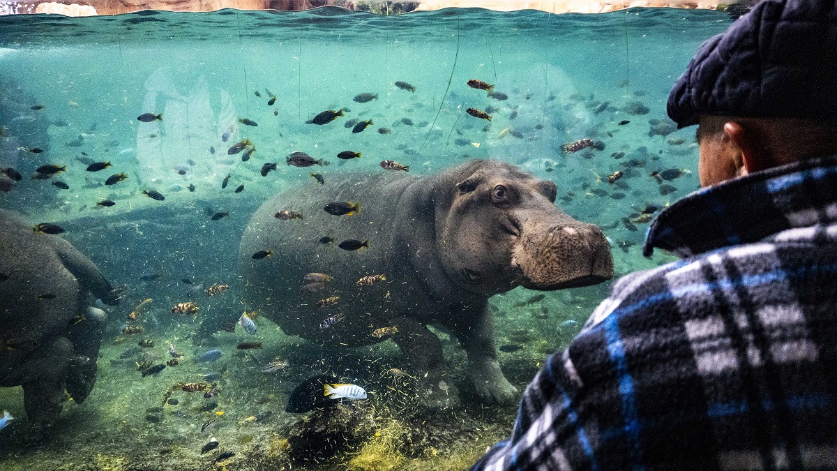 Bioparc Valencia, Día Mundial de los Humedales