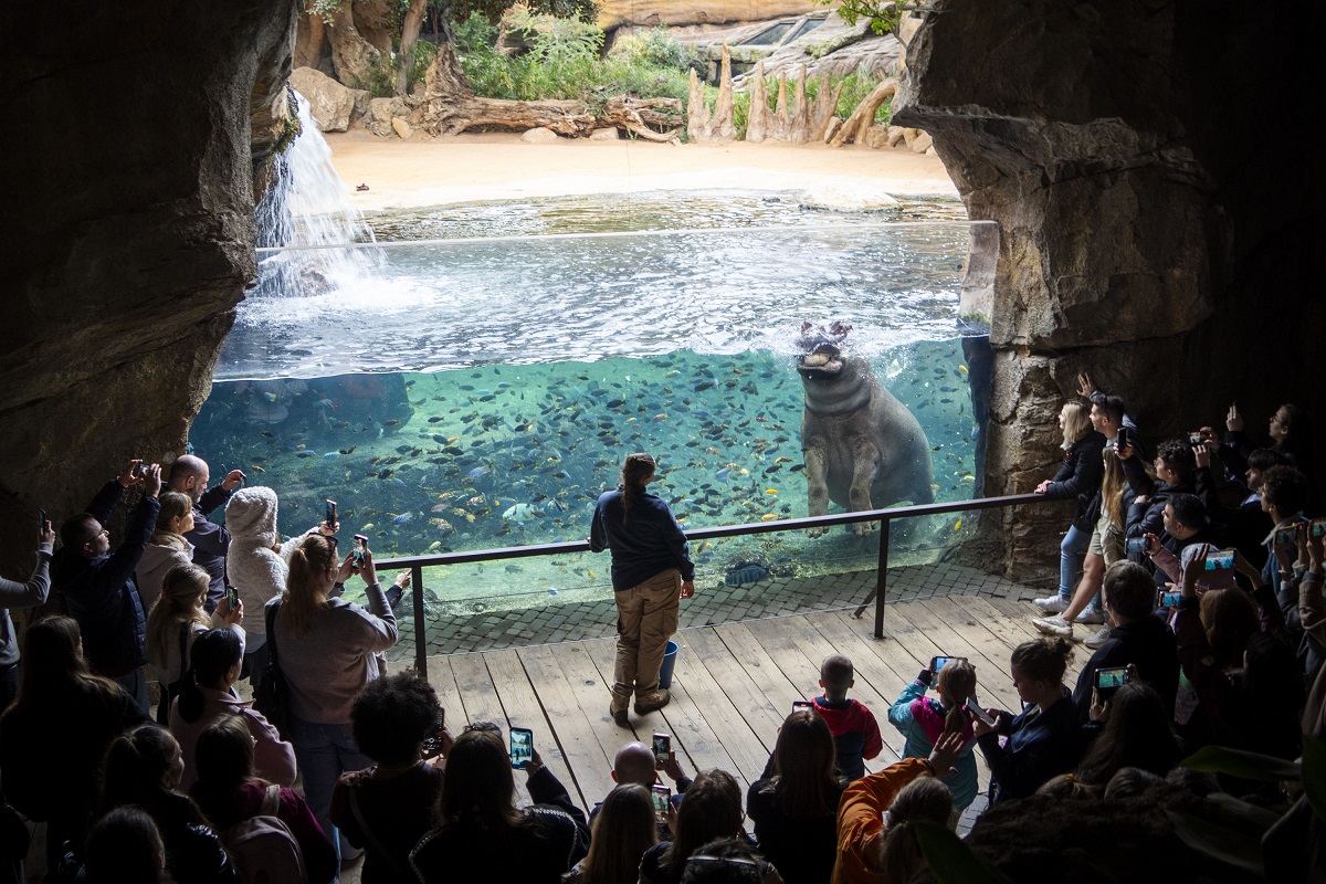 Bioparc Valencia, Día Mundial de los Humedales