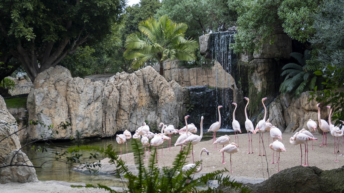 Bioparc Valencia, Día Mundial de los Humedales