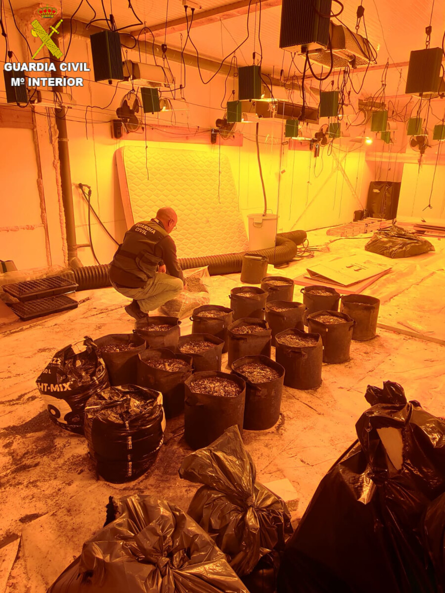 Centro de procesamiento de marihuana en Massamagrell