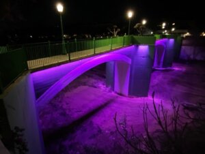 puentes iluminados Picanya