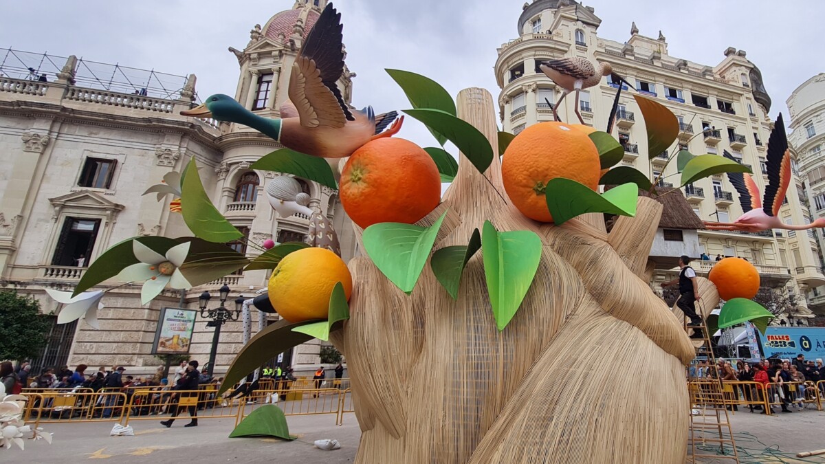 Plantà falla municipal