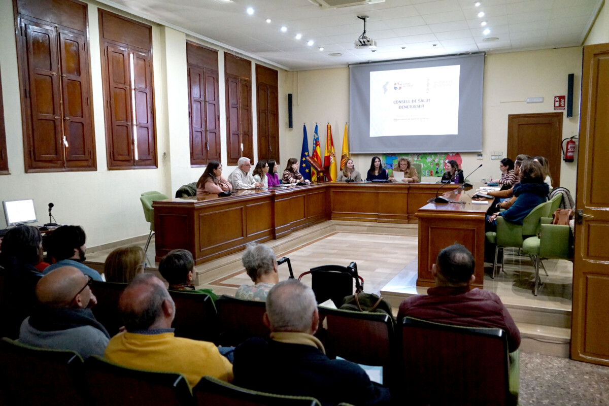 Constitucion Consell Salut Benetússer