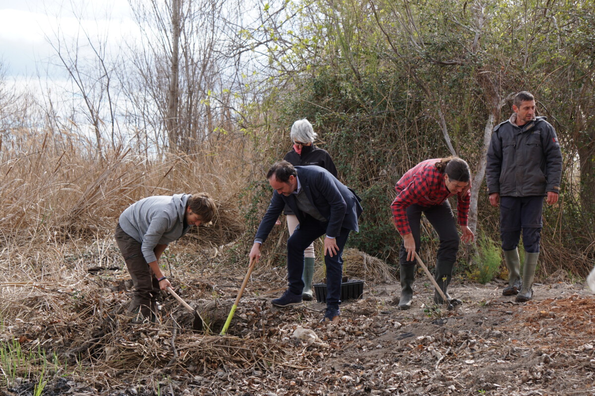 Inauguración del observatorio de aves del Marjal dels Moros