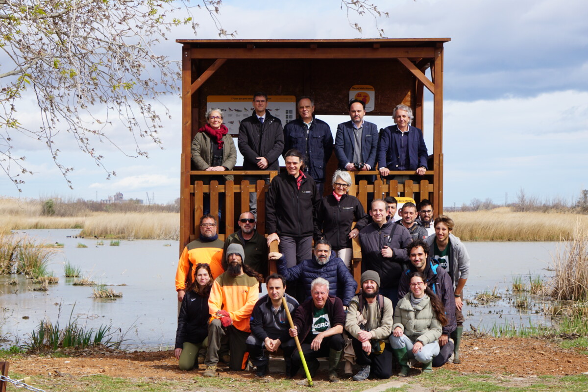 Inauguración del observatorio de aves del Marjal dels Moros