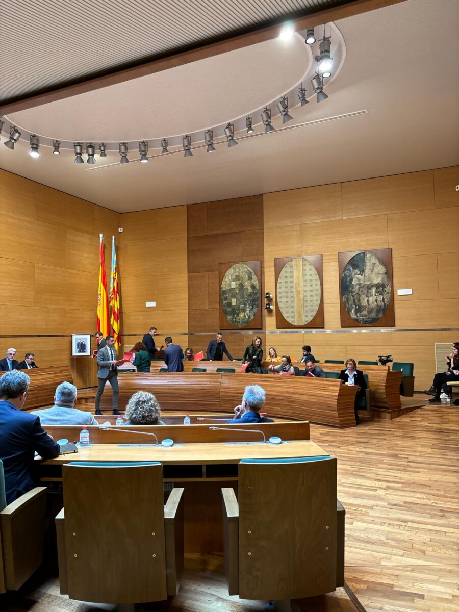 PSPV abandona pleno diputacio