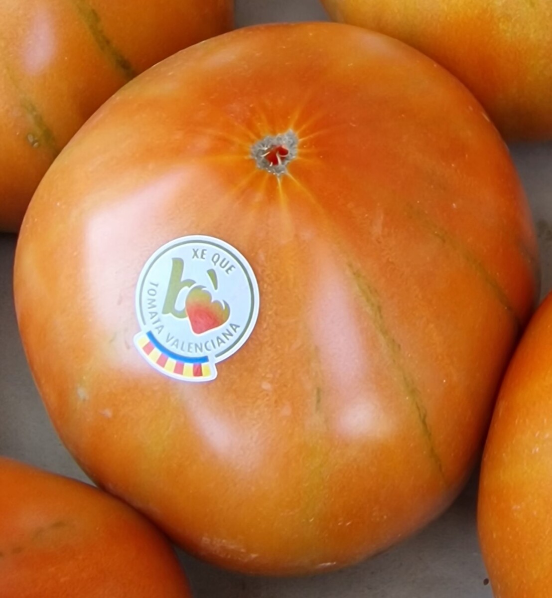 Tomata Valenciana