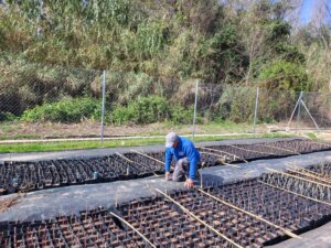 vivero plantas Quart de Poblet