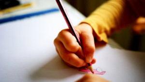 1211 Material escolar