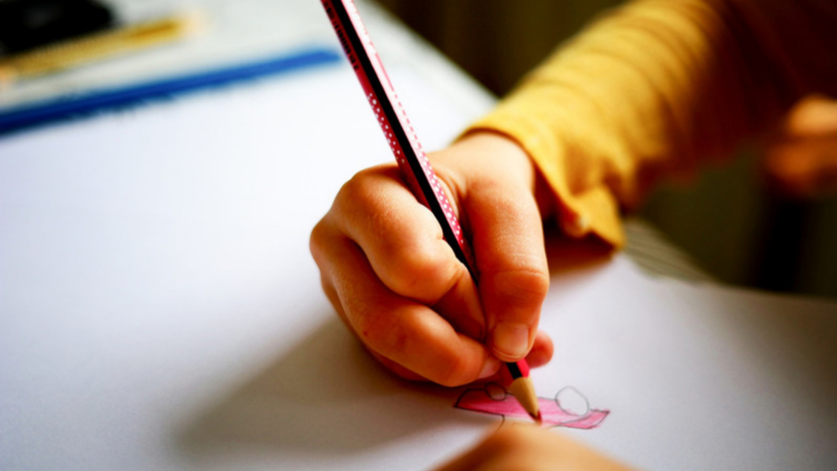 1211 Material escolar