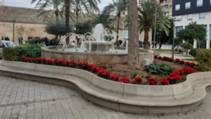 1115 Flors de Nadal