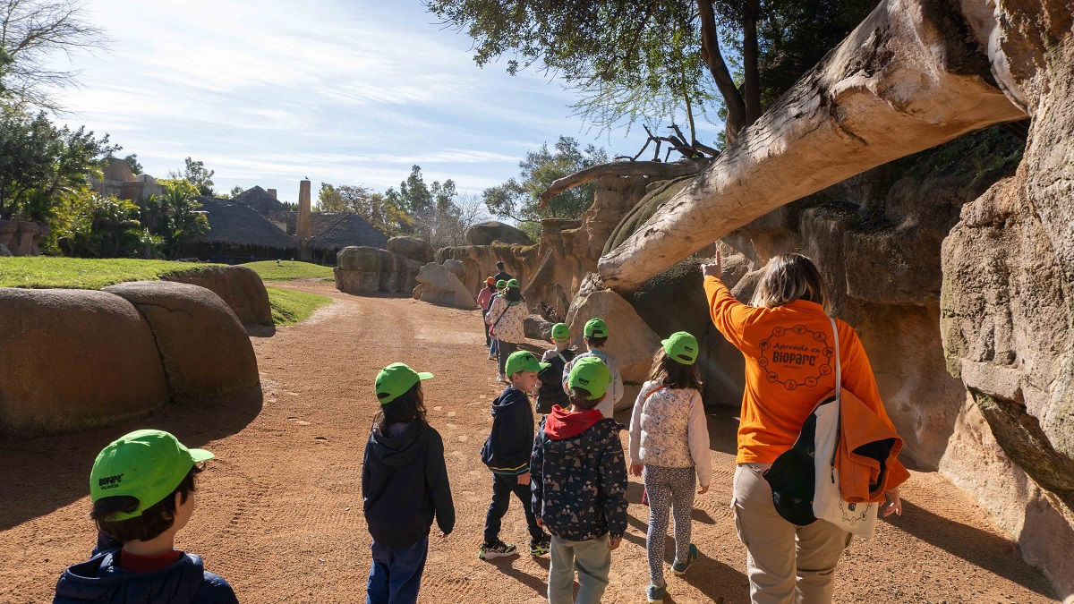 Expedición África - curso especialista en jirafas - BIOPARC Valencia