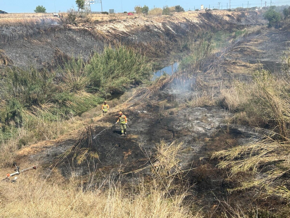 Incendio de matorral en Torrent