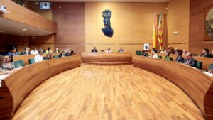 Ple octubre DIPU