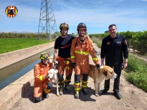 rescate perros Vinalesa