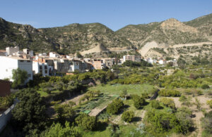 Sot de Chera