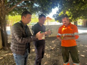 tratamientos biológicos Catarroja