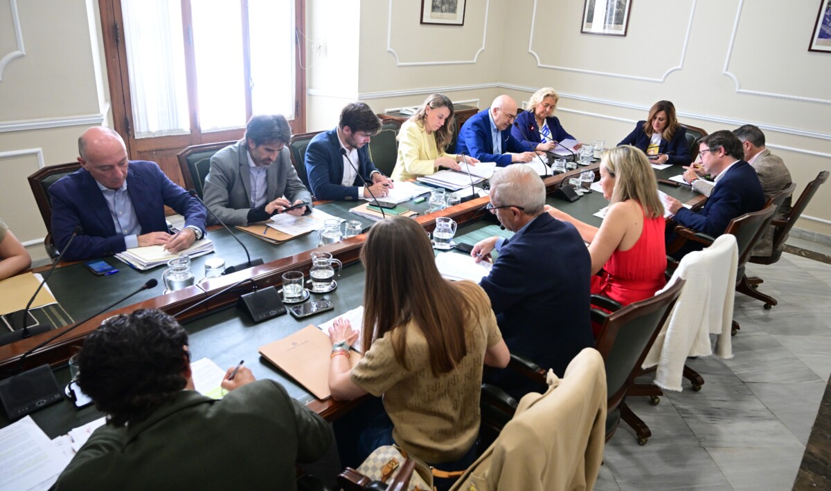 Junta de Gobierno Local