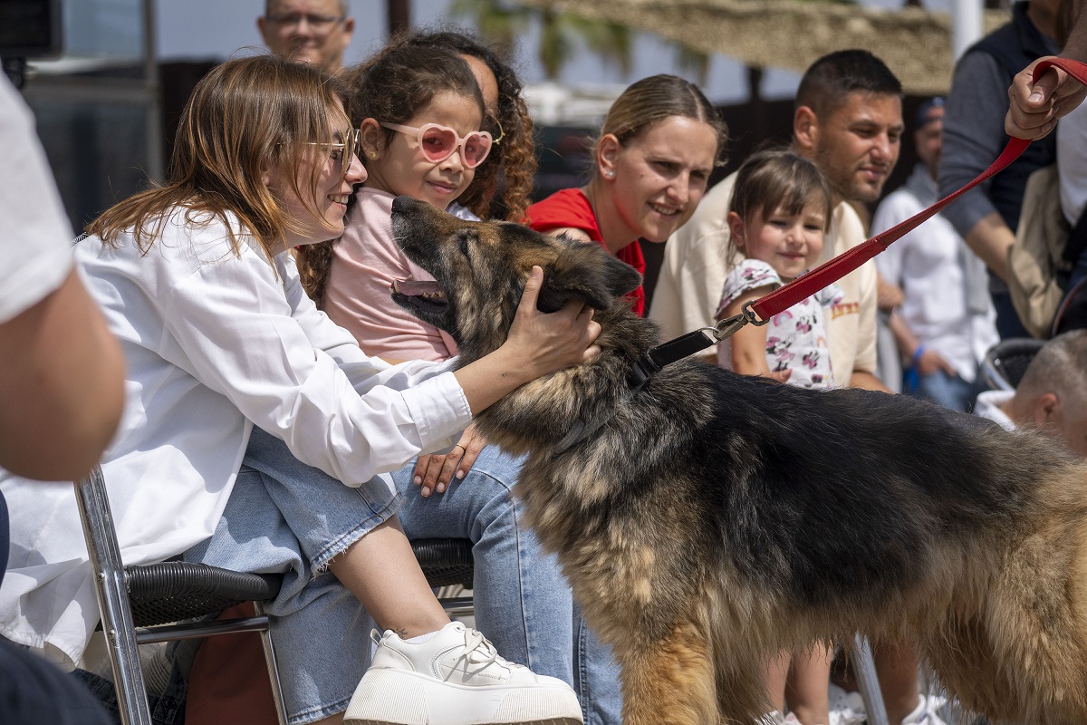 24 desfile de perros AUPA-Fundación Bioparc