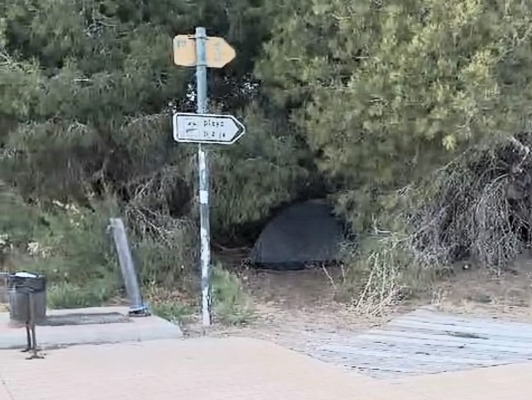 Acampadas ilegales en la Devesa del Saler