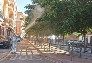 albal plaga de Cochinilla de las Seychelles