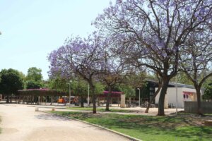 árboles apadrinados Catarroja