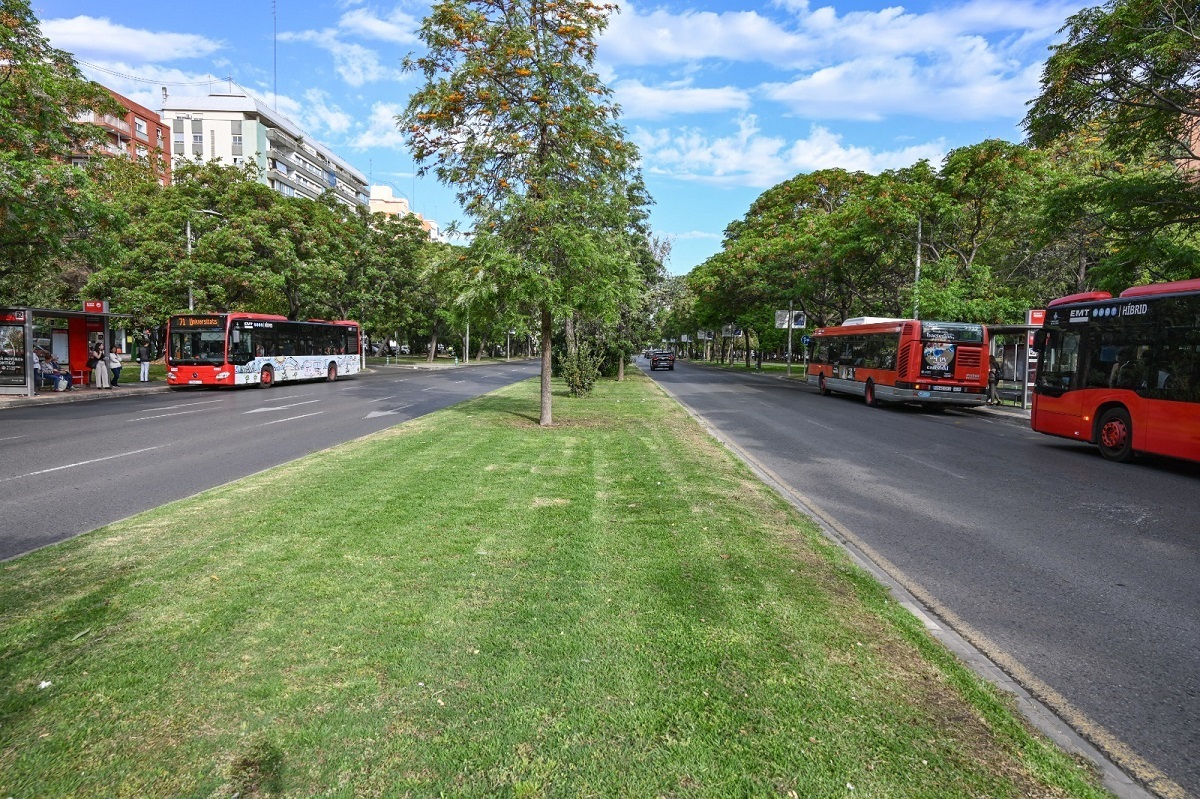 La avenida Blasco Ibáñez de Valencia tendrá un carril bus-taxi segregado