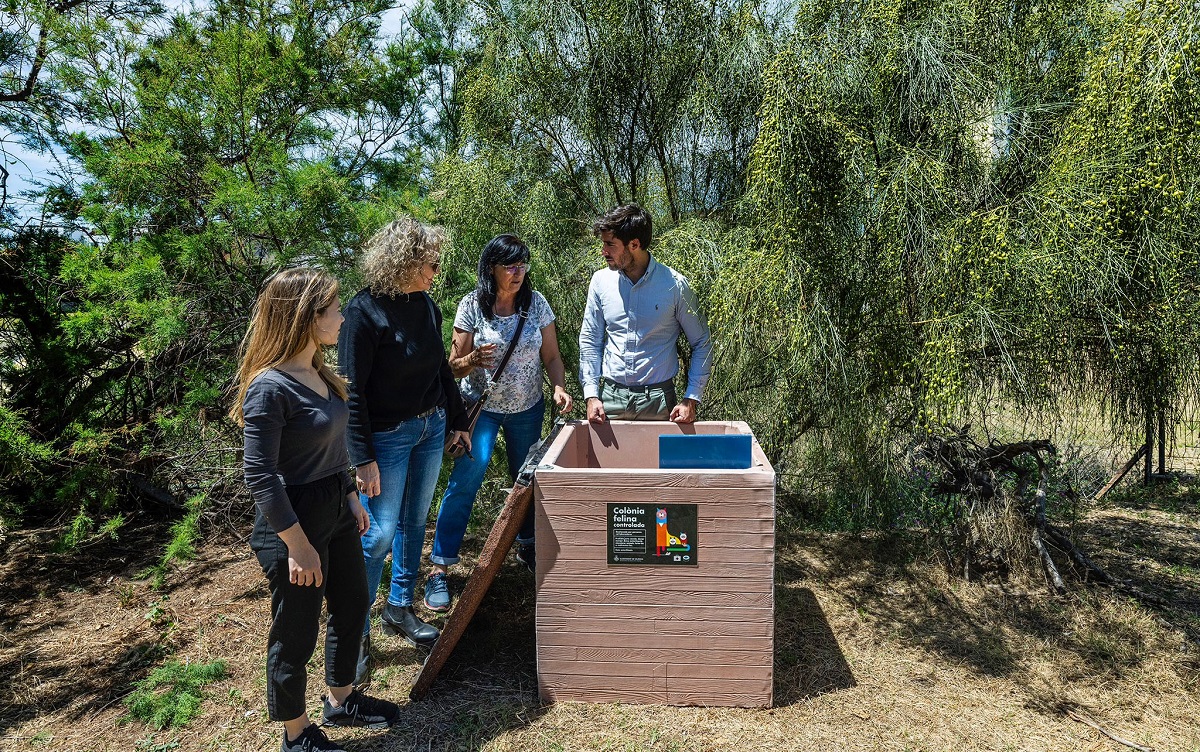 Casetas de comida para las colonias felinas de Valencia
