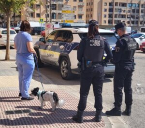 censo canino Alfafar