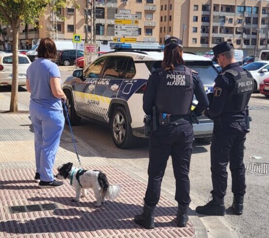 censo canino Alfafar