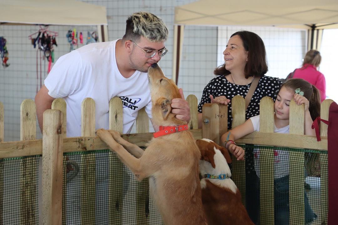feria adopción animales Torrent