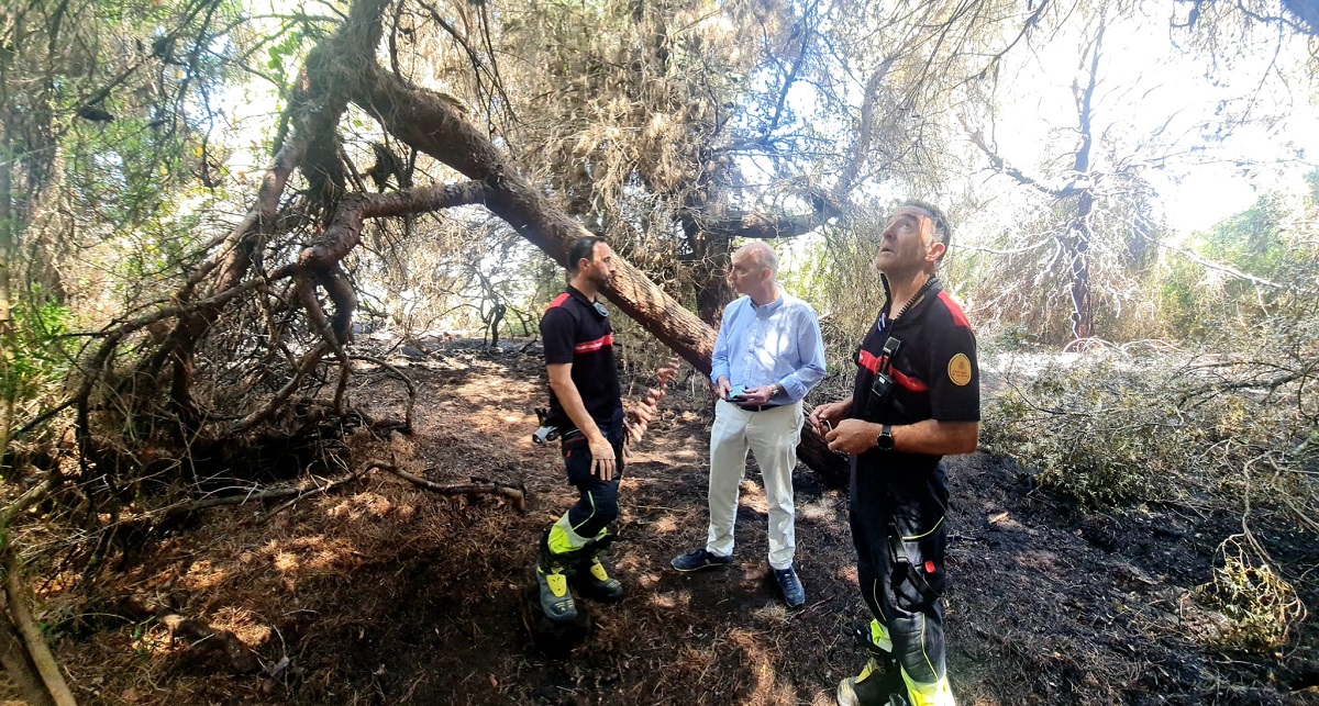 Gosálbez se interesa por los daños del incendio en la Devesa el viernes