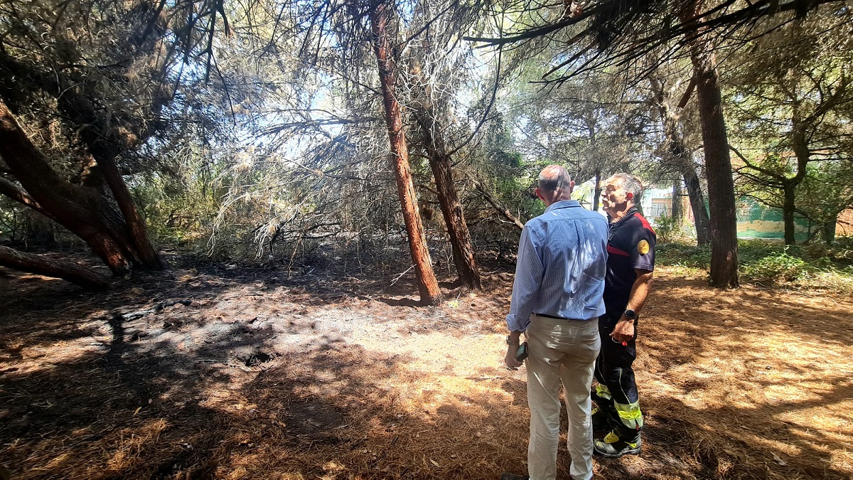 Gosálbez se interesa por los daños del incendio en la Devesa el viernes