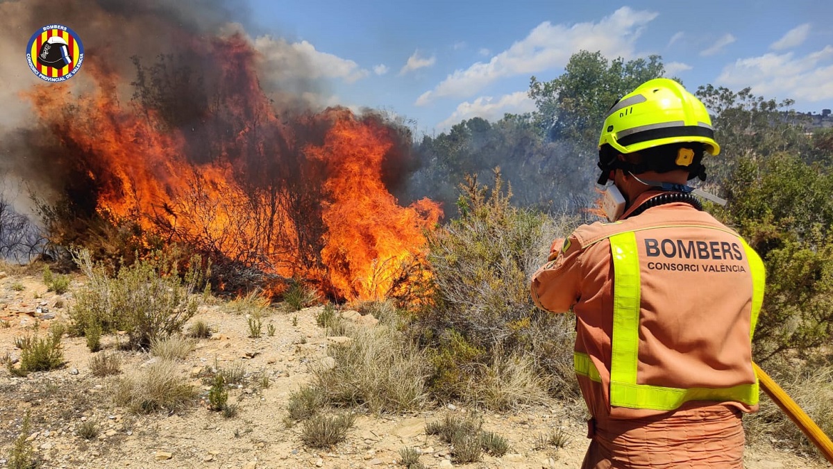 Incendio forestal en el barranco Bota, en término de Torrent