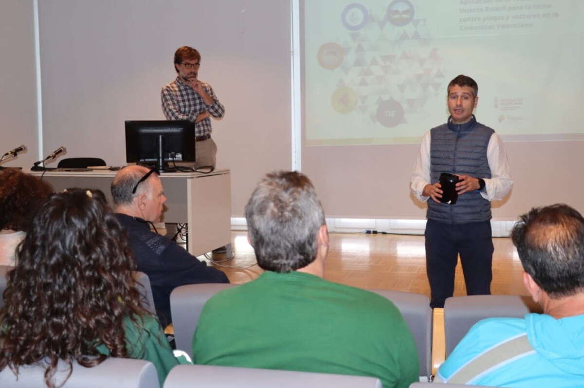 Campaña mosquito tigre Torrent