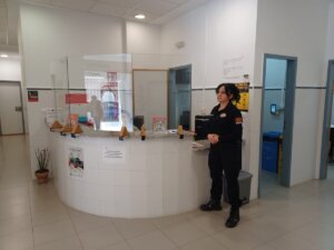 Servicios Sociales Pobla de Farnals